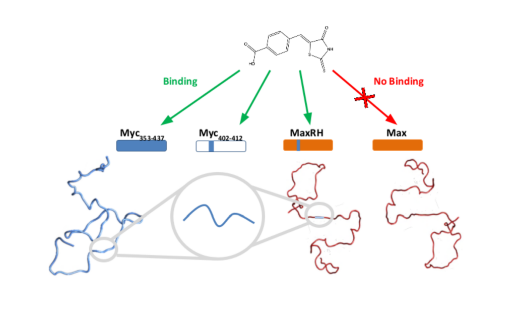 Graphical abstract of research, demonstrating small molecule binding capability. 