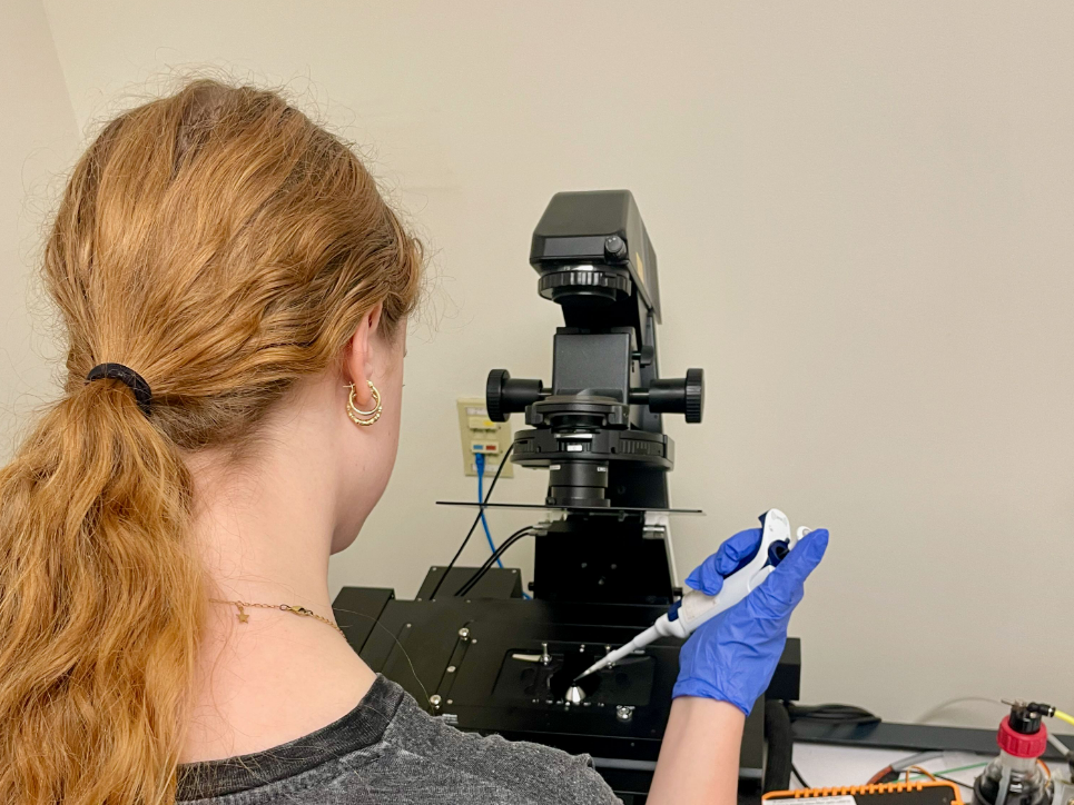 Student pipetting onto microscope