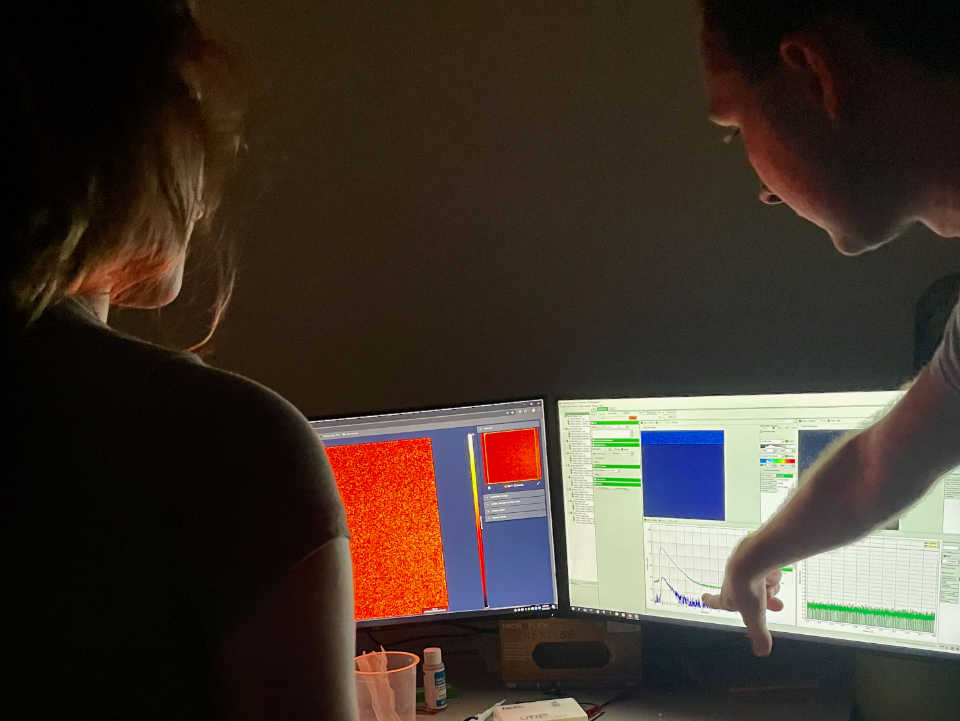 Students observing computer output data